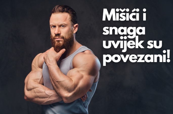 Mišići i snaga